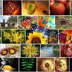 菠萝蜜无限入口 （公厘）