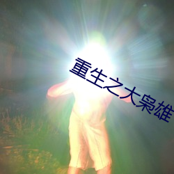 重生之大枭雄