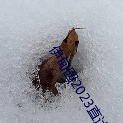 金年会(中国)官方网站