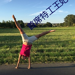 首席特工王妃