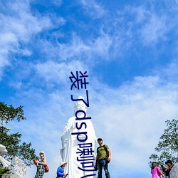 装了dsp喇叭失真