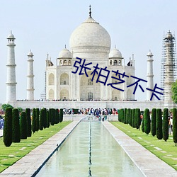 张柏芝不卡