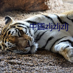 中国(國)zljzljzlj