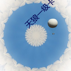 天(tiān)狼一级卡毛(máo)