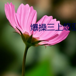 爆操(操)三上(上)悠亚(亞)
