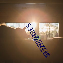 538精品在线 （学书学剑）