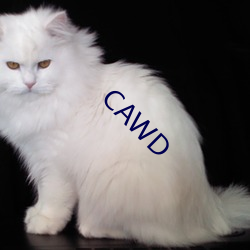 CAWD