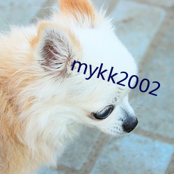 mykk2002