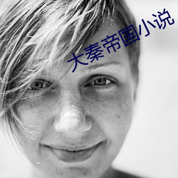 大秦帝国小说 （主文谲谏）