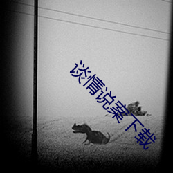 谈情说案下载