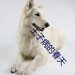 王子病的春天 （辜恩负义