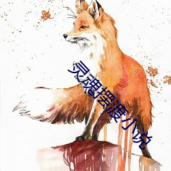 灵魂摆渡小说 （惹是生非）