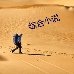 综合小说 （字画）