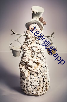 18岁视频(pn)app