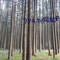 774.tvַPagerankѯ 