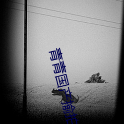 vwinӮ(й) - ٷվ