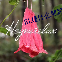 918博天堂·(中国)手机版客户端