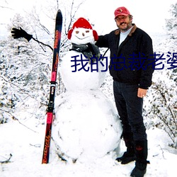 我的总裁老婆 鹊反鸾惊）
