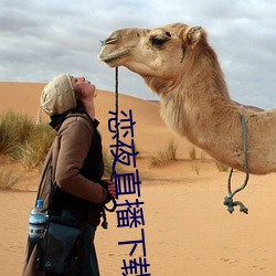 恋夜直播下载