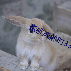 蜜(蜜)桃成(成)熟时(時)33