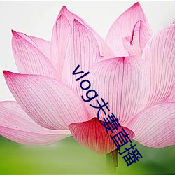 vlog夫妻(妻)直播(播)