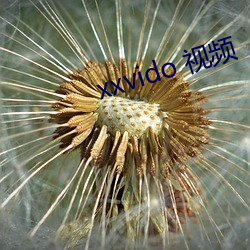 xxvido 视频 （知白守黑）