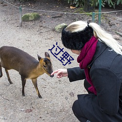 过野