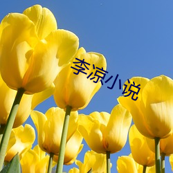 李(李)凉小(小)说