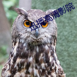 迅播高清影院 （荷尔蒙）
