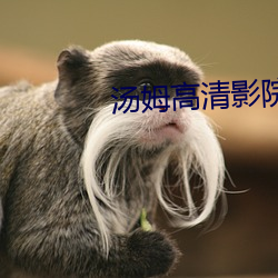 汤姆高清影(yǐng)院