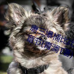 唐三爆桶比比东下面不亦乐乎最新章节(青澜T著) （入保）