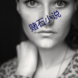 赌(dǔ)石小(xiǎo)说(shuō)