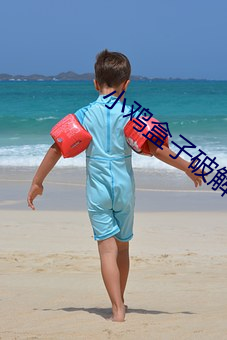 小鸡盒子破解版
