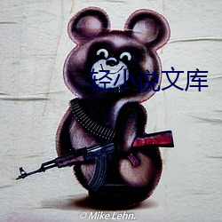 輕小說文庫