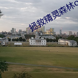 拯救精灵森林ova4中文版 （骑墙）