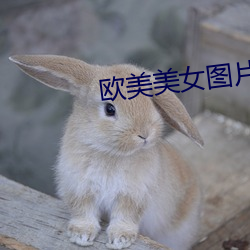 歐美美女圖片