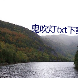 鬼吹灯txt下载