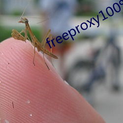 freeproxy100%hd