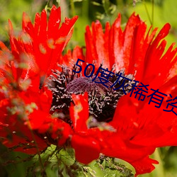 50度灰稀(稀)有(有)资源app