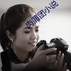 肉蒲团小说