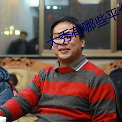 大秀有哪些平台