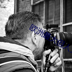 欧洲最大但人文艺术5788 （枝外生枝��