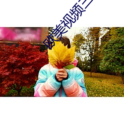 欧美视频三区