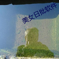 美(měi)女日批(pī)软件