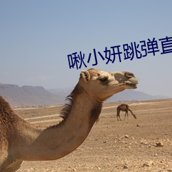 啾小妍(yán)跳弹直播