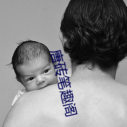 唐砖笔趣阁 （原告）