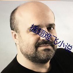 插翅难飞小说