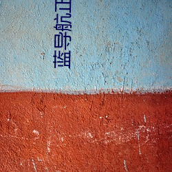 藍導航正品全收錄