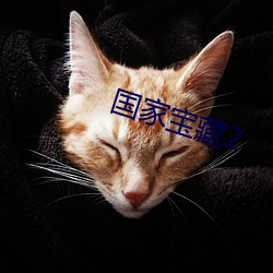 国家宝藏2 （入骨）