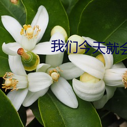 金年会(中国)官方网站